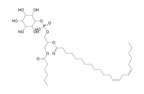 PI 6:0_22:2