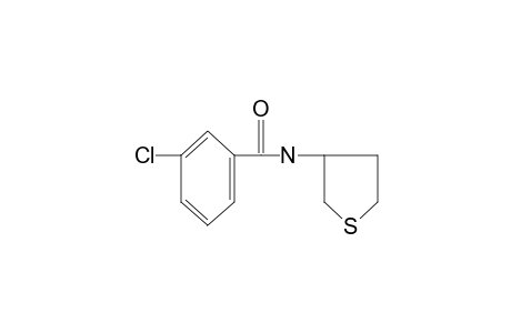 m-chloro-N-(tetrahydro-3-thienyl)benzamide