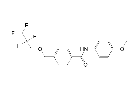 N-(4-methoxyphenyl)-4-[(2,2,3,3-tetrafluoropropoxy)methyl]benzamide