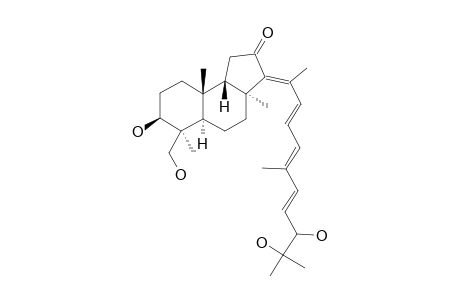 RHABDASTRELLIN_C