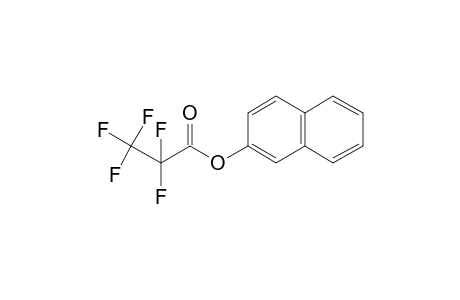 Pentafluoropropanoic acid, 2-naphthyl ester