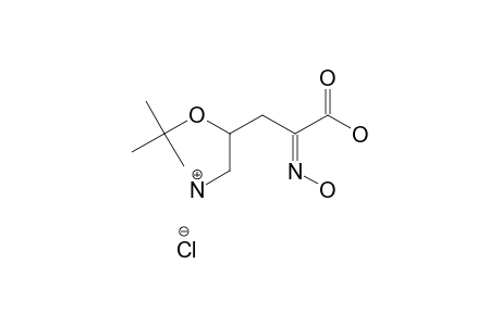 (4R)-5-AMINO-4-(TERT.-BUTYLOXY)-2-(HYDROXYIMINO)-PENTANOIC-ACID-HYDROCHLORIDE