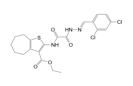 ethyl 2-{[[(2E)-2-(2,4-dichlorobenzylidene)hydrazino](oxo)acetyl]amino}-5,6,7,8-tetrahydro-4H-cyclohepta[b]thiophene-3-carboxylate