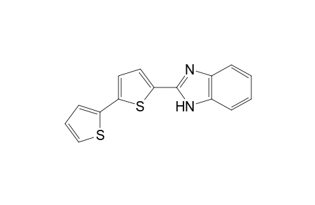 2-[5-(2-Thienyl)-2-thienyl]-benzimidazol
