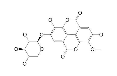 3-O-METHYLELLAGIC-ACID-4'-O-BETA-D-XYLOPYRANOSIDE