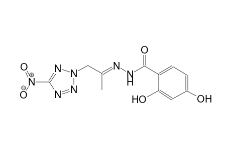 2,4-dihydroxy-N'-[(E)-1-methyl-2-(5-nitro-2H-tetraazol-2-yl)ethylidene]benzohydrazide