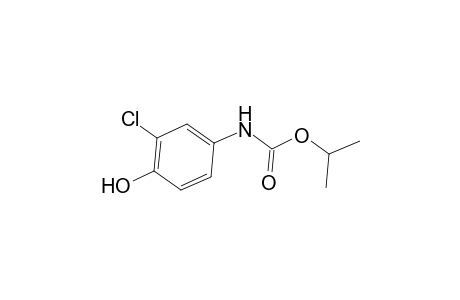 Carbamic acid, (3-chloro-4-hydroxyphenyl)-, 1-methylethyl ester