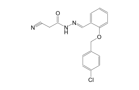 acetic acid, cyano-, 2-[(E)-[2-[(4-chlorophenyl)methoxy]phenyl]methylidene]hydrazide