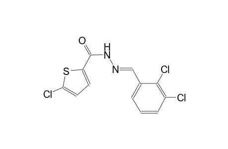 5-chloro-N'-[(E)-(2,3-dichlorophenyl)methylidene]-2-thiophenecarbohydrazide