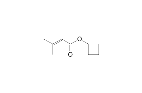 Cyclobutyl 3-methyl-2-butenoate