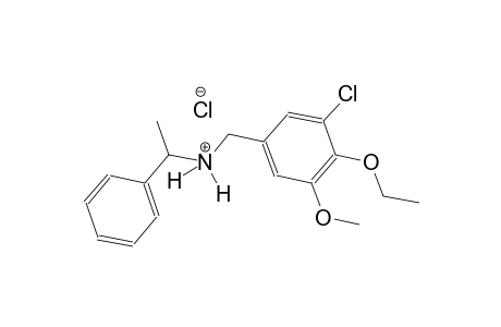 N-(3-chloro-4-ethoxy-5-methoxybenzyl)-1-phenylethanaminium chloride