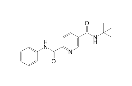 5-N-tert-butyl-2-N-phenylpyridine-2,5-dicarboxamide