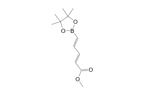 METHYL-5-(4,4,5,5-TETRAMETHYL-1,3,2-DIOXABOROLAN-2-YL)-PENTA-2E,4E-DIENOATE