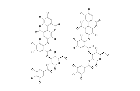 2-O-GALLOYL-3-O-VALONEOYL-DILACTONE-(ALPHA/BETA)-(4)-C(1)-GLUCOPYRANOSE