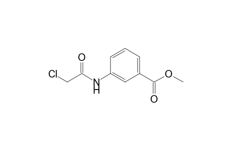 3-[(2-chloro-1-oxoethyl)amino]benzoic acid methyl ester