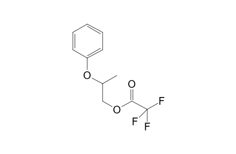 Trifluoroaceic acid, 2-phenoxypropyl ester