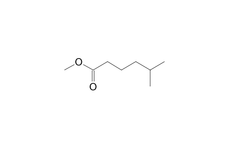 Hexanoic acid, 5-methyl-, methyl ester