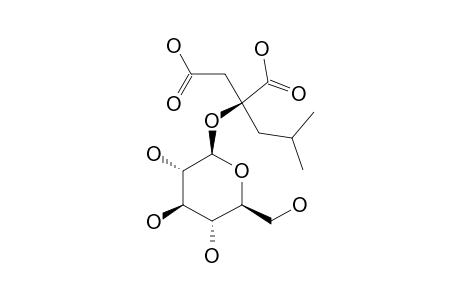 DACTYLORHIN-C;(2R)-2-BETA-D-GLUCOPYRANOSYLOXY-2-(2-METHYLPROPYL)-BUTANEDIOIC-ACID
