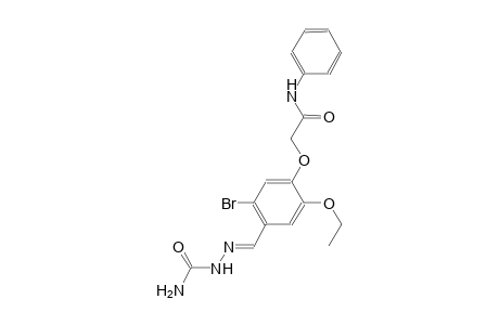2-(4-{(E)-[(aminocarbonyl)hydrazono]methyl}-5-bromo-2-ethoxyphenoxy)-N-phenylacetamide