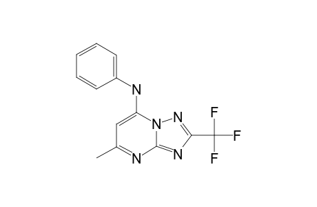 5-METHYL-7-PHENYLAMINE-2-(TRIFLUOROMETHYL)-[1,2,4]-TRIAZOLO-[1,5-A]-PYRIMIDINE