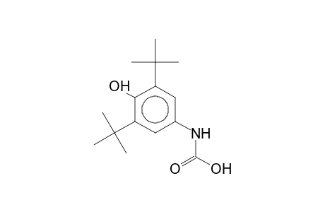 (3,5-ditert-butyl-4-hydroxy-phenyl)carbamic acid