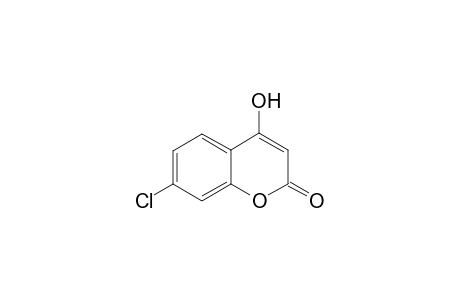 7-Chloro-4-hydroxycoumarin