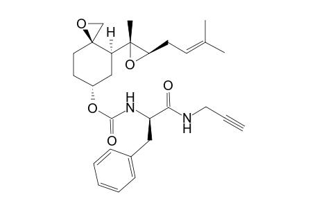 [(3R,4S,6R)-4-[(2R,3R)-2-methyl-3-(3-methylbut-2-enyl)oxiran-2-yl]-1-oxaspiro[2.5]octan-6-yl] N-[(1R)-1-benzyl-2-oxo-2-(prop-2-ynylamino)ethyl]carbamate