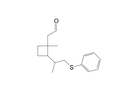 1-Methyl-1-(2'-oxoethyl)-2-(1'-phenylthioprop-2'-yl)cyclobutane