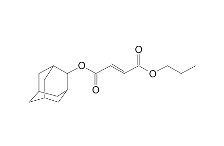 Fumaric acid, 2-adamantyl propyl ester