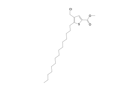 Methyl 4-(chloromethyl)-5-pentadecyl-2-thiophenecarboxylate
