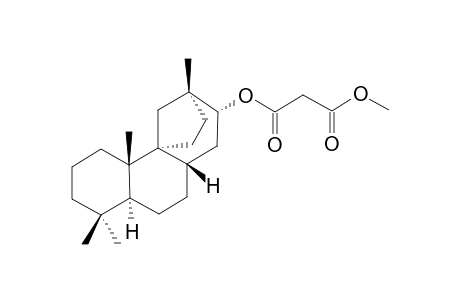 (-)-Methyl Thyrsiflorin A