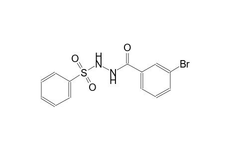 N'-(3-bromobenzoyl)benzenesulfonohydrazide