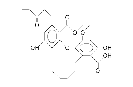 6-Hydroxy-3-(5-hydroxy-2-methoxycarbonyl-3-<3-oxo-pentyl>-phenoxy)-4 -methoxy-2-pentyl-benzoic acid