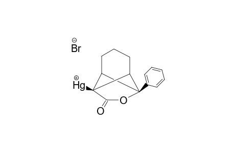 6-BROMOMERCURIO-7-PHENYLBICYCLO-[3.1.1]-HEPTANE-6,7-CARBOLACTONE