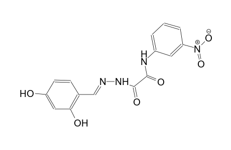 2-[(2E)-2-(2,4-dihydroxybenzylidene)hydrazino]-N-(3-nitrophenyl)-2-oxoacetamide