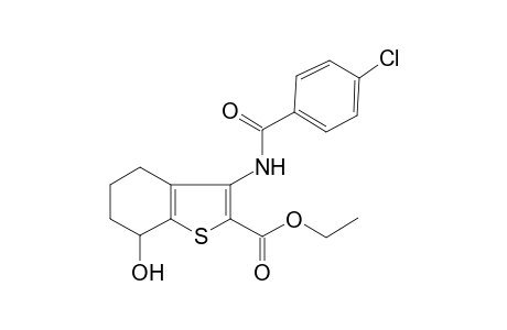 3-[(4-chlorobenzoyl)amino]-7-hydroxy-4,5,6,7-tetrahydrobenzothiophene-2-carboxylic acid ethyl ester