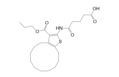 5-oxo-5-{[3-(propoxycarbonyl)-4,5,6,7,8,9,10,11,12,13-decahydrocyclododeca[b]thien-2-yl]amino}pentanoic acid