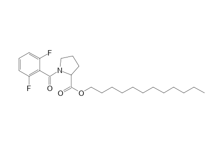 L-Proline, N-(2,6-difluorobenzoyl)-, dodecyl ester