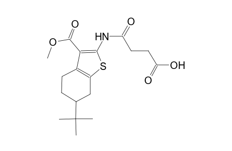 4-{[6-tert-butyl-3-(methoxycarbonyl)-4,5,6,7-tetrahydro-1-benzothien-2-yl]amino}-4-oxobutanoic acid
