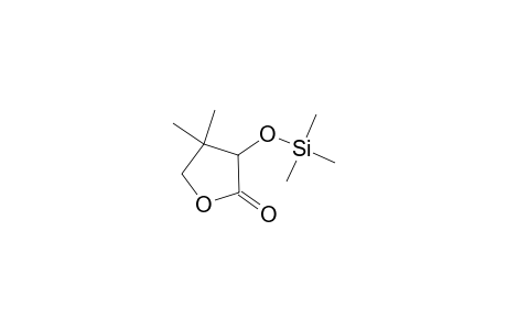 2(3H)-Furanone, dihydro-4,4-dimethyl-3-[(trimethylsilyl)oxy]-
