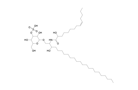 SHexCer 23:0;2O/14:1;O