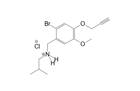 N-[2-bromo-5-methoxy-4-(2-propynyloxy)benzyl]-2-methyl-1-propanaminium chloride