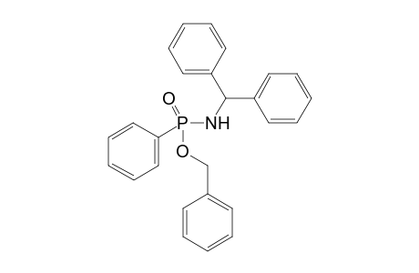 N-Diphenylmethyl-P-benzyl-P-phenyl-phosphonamide