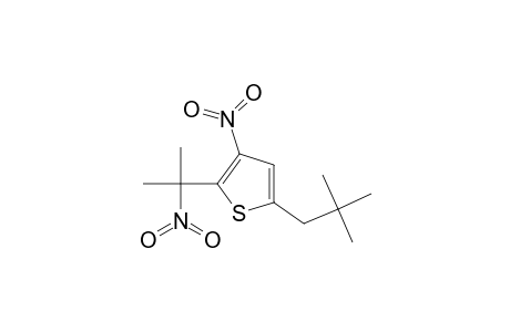 Thiophene, 5-(2,2-dimethylpropyl)-2-(1-methyl-1-nitroethyl)-3-nitro-
