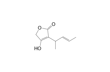 2(5H)-Furanone, 4-hydroxy-3-(1-methyl-2-butenyl)-, (E)-
