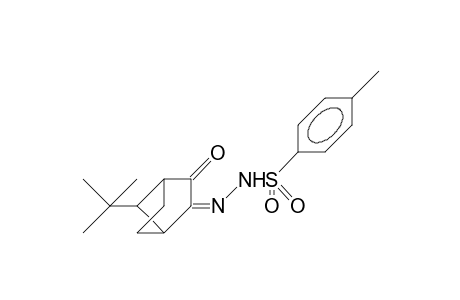 anti-7-tert.-Butyl-bicyclo-[2.2.1]-heptane-2,3-dione, (Z)-monotosylhydrazone