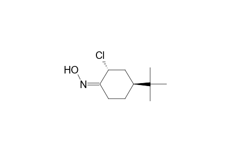 (2R,4S)-4-tert-butyl-2-chloro-1-cyclohexanone oxime