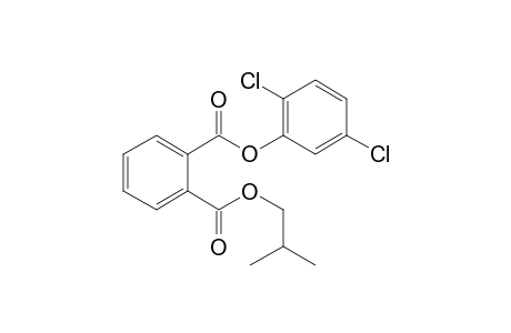 Phthalic acid, 2,5-dichlorophenyl isobutyl ester