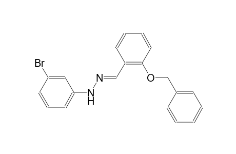 2-(benzyloxy)benzaldehyde (3-bromophenyl)hydrazone