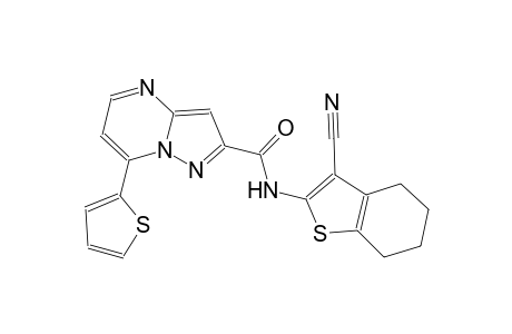 N-(3-cyano-4,5,6,7-tetrahydro-1-benzothien-2-yl)-7-(2-thienyl)pyrazolo[1,5-a]pyrimidine-2-carboxamide